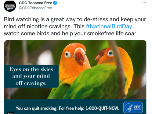 美国CDC建议烟民“观鸟戒烟”遭抨击：为啥不推荐电子烟？